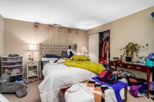 bedroom featuring carpet floors and a closet