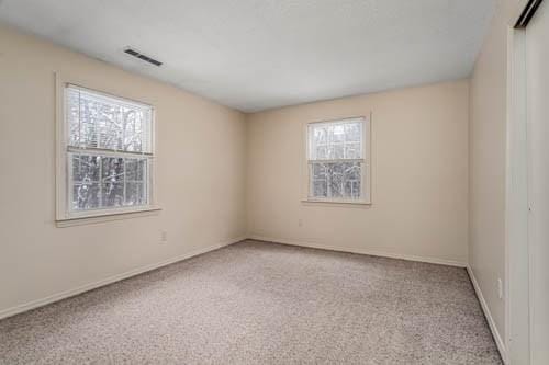 carpeted empty room with a healthy amount of sunlight