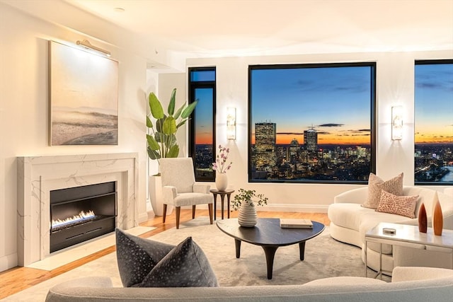 living area featuring a fireplace and light hardwood / wood-style flooring