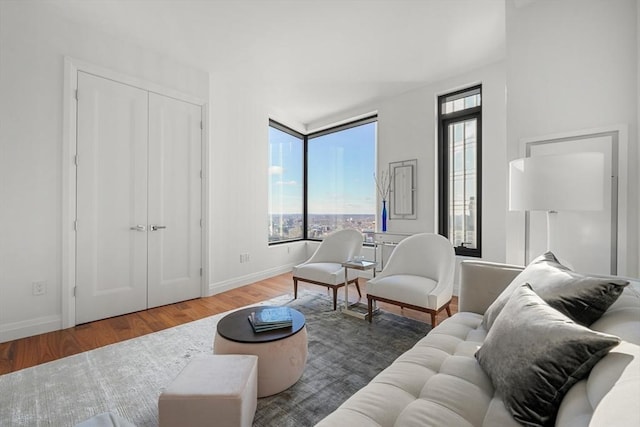 living room featuring hardwood / wood-style floors