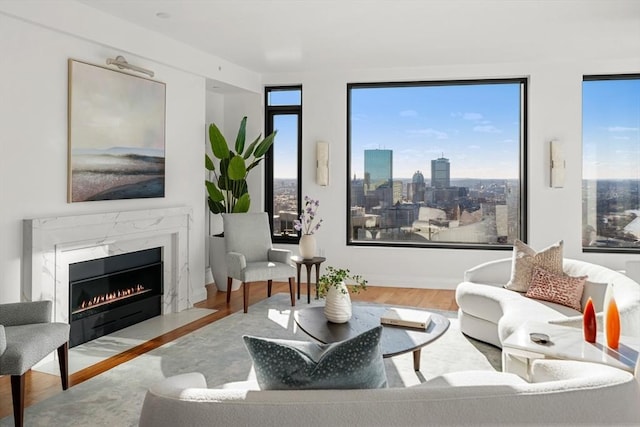 living room with hardwood / wood-style flooring and a fireplace