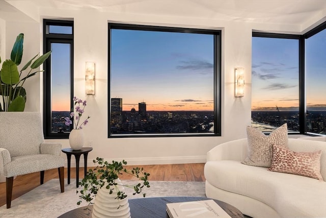 living room featuring hardwood / wood-style flooring