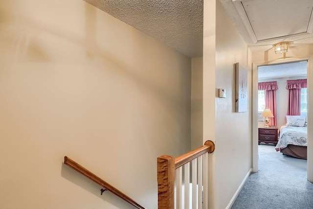 hallway with carpet and a textured ceiling