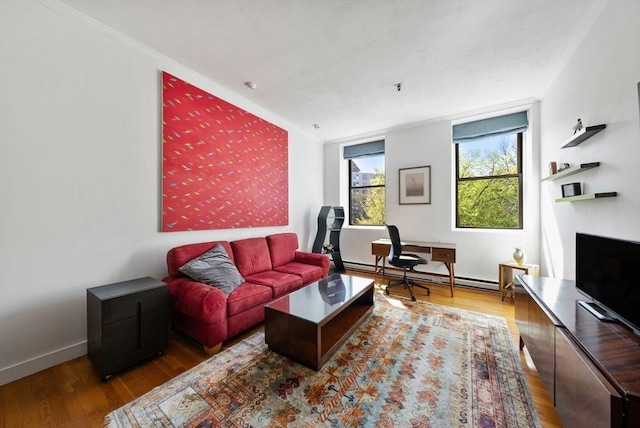 living area featuring a baseboard radiator, a fireplace with raised hearth, and wood finished floors