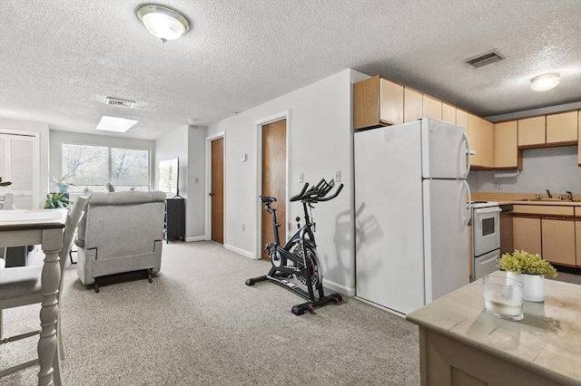 35 Prospect St Unit 313, Woburn, MA 01801 - exercise area featuring a textured ceiling, a sink, baseboards, and light colored carpet