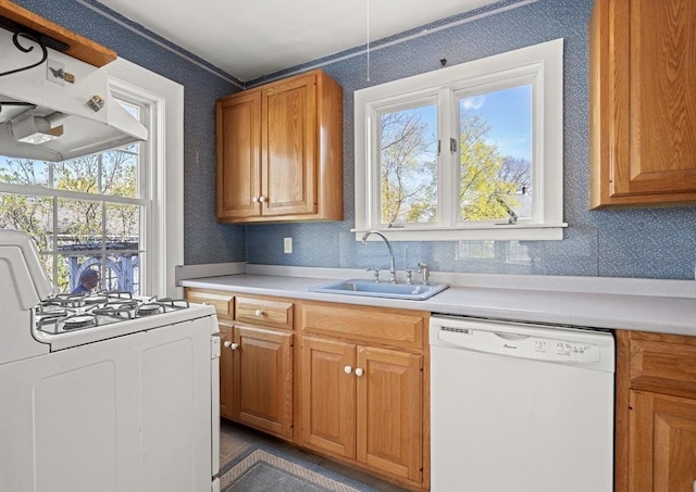 kitchen with a sink, brown cabinets, under cabinet range hood, white appliances, and light countertops