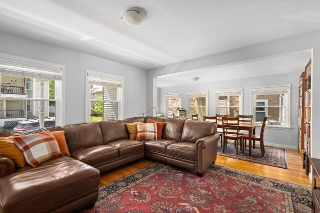 50 Walnut St, Northampton, MA 01060 - living room with light wood finished floors