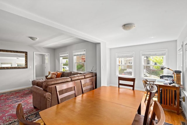 50 Walnut St, Northampton, MA 01060 - dining area featuring plenty of natural light, baseboards, and wood finished floors