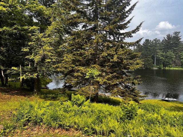 40 Papoose Lake Dr, Heath, MA 01346 - water view featuring a heavily wooded area