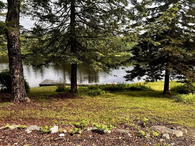 40 Papoose Lake Dr, Heath, MA 01346 - water view