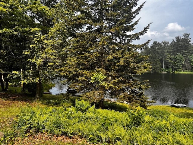40 Papoose Lake Dr, Heath, MA 01346 - water view with a heavily wooded area