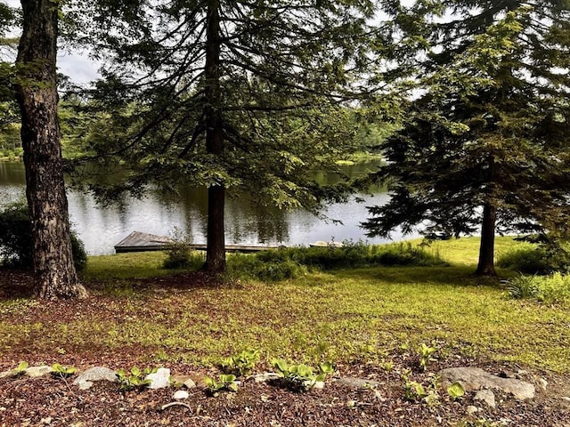 40 Papoose Lake Dr, Heath, MA 01346 - water view