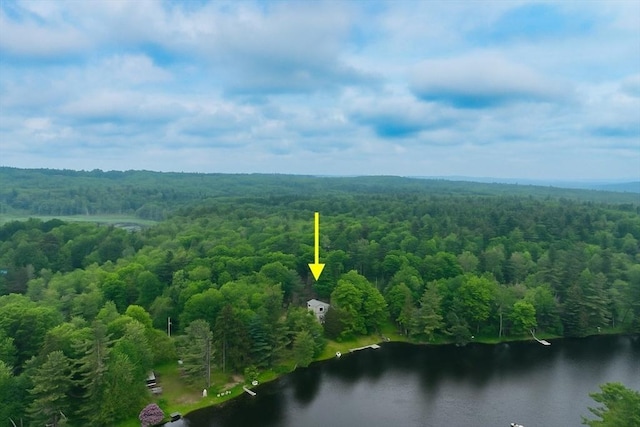 40 Papoose Lake Dr, Heath, MA 01346 - drone / aerial view of a forest and a large body of water
