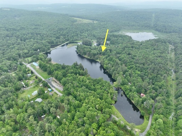 40 Papoose Lake Dr, Heath, MA 01346 - view of property location featuring a heavily wooded area and a nearby body of water