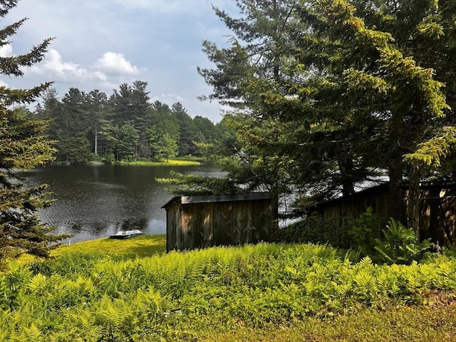 40 Papoose Lake Dr, Heath, MA 01346 - water view with a forest
