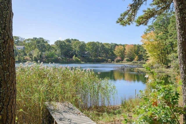 property view of water