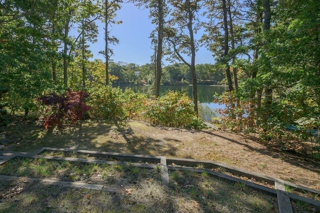 view of yard with a water view