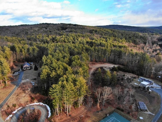 10 Hannabrooke Dr, Leverett, MA 01054