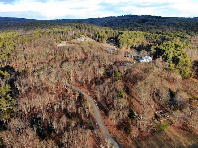 10 Hannabrooke Dr, Leverett, MA 01054