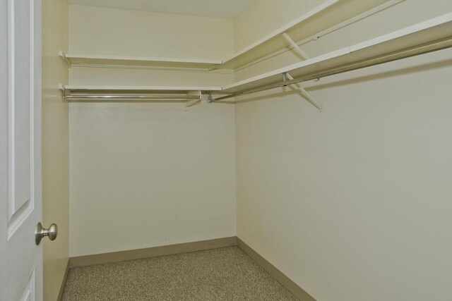 11 Arbor Way Unit C, Holyoke, MA 01040 - view of walk in closet
