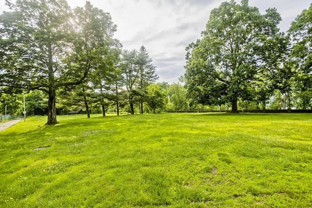 11 Arbor Way Unit C, Holyoke, MA 01040 - view of grassy yard