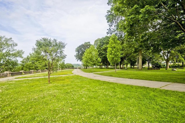 11 Arbor Way Unit C, Holyoke, MA 01040 - view of property's community with a lawn