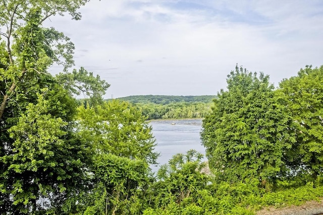 11 Arbor Way Unit C, Holyoke, MA 01040 - water view with a forest