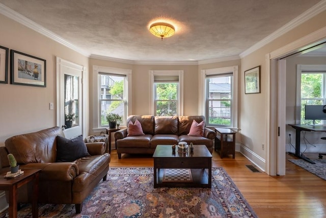 37 Chestnut St, Stoneham, MA 02180 - living area with plenty of natural light, wood finished floors, crown molding, and baseboards