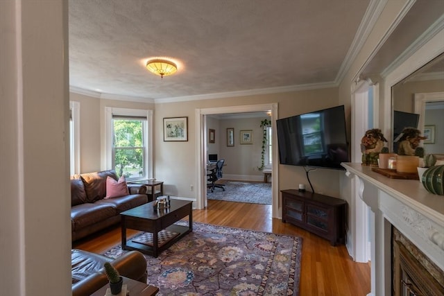37 Chestnut St, Stoneham, MA 02180 - living area featuring a fireplace, light wood-style flooring, ornamental molding, baseboards, and an office area