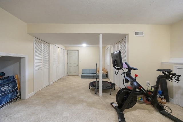 25 Sharlene Ln Unit 25, Plainville, MA 02762 - exercise area featuring light carpet