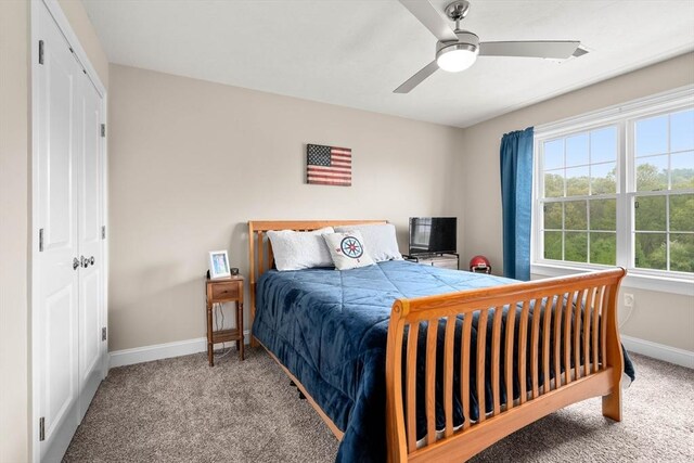 15 Day Lily Ln, Walpole, MA 02081 - bedroom with carpet flooring, baseboards, ceiling fan, and a closet