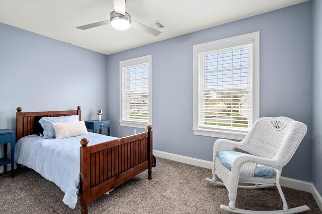 15 Day Lily Ln, Walpole, MA 02081 - bedroom featuring carpet, multiple windows, baseboards, and a ceiling fan