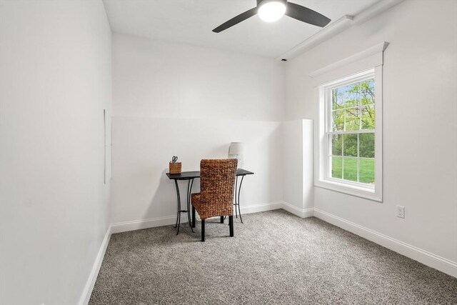 15 Day Lily Ln, Walpole, MA 02081 - office with carpet floors, ceiling fan, and baseboards