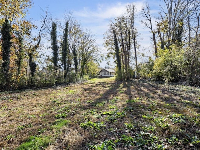 8 Rock Harbor Rd, Orleans, MA 02653 - view of yard