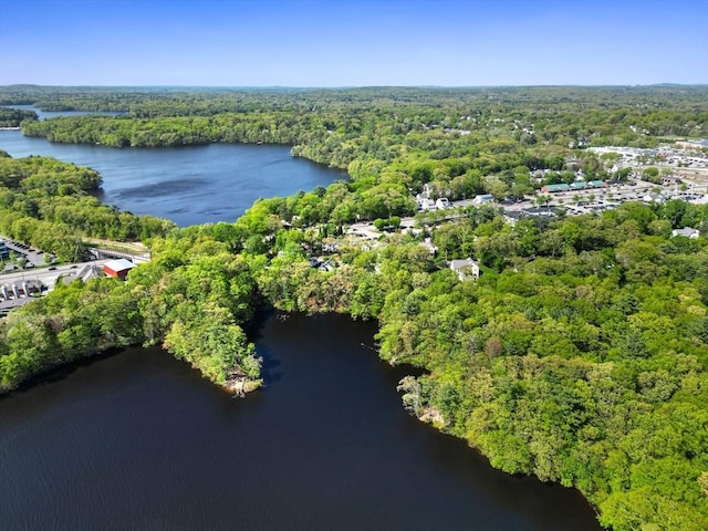 315 Bacon St Unit 1, Natick, MA 01760 - bird's eye view of a heavily wooded area and a nearby body of water