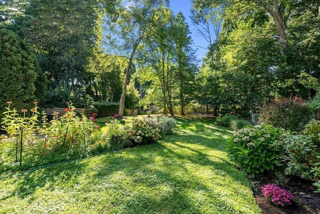 view of grassy yard