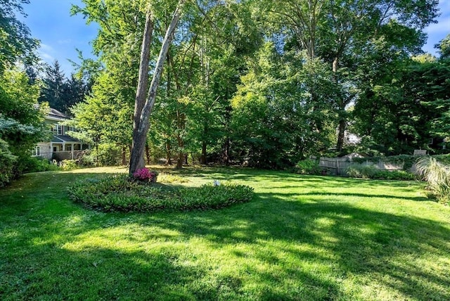 view of yard