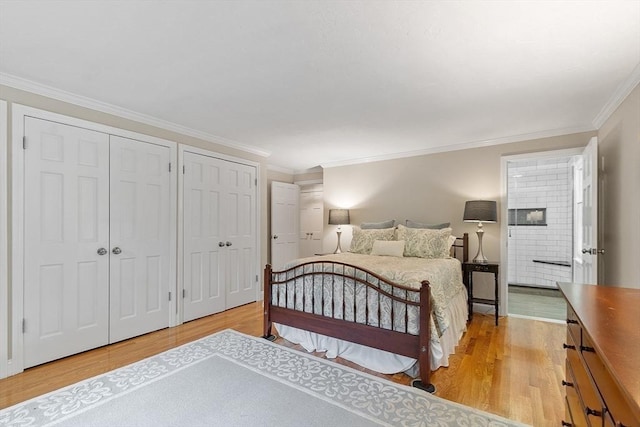 31 Spectacle Hill Rd, Bolton, MA 01740 - bedroom with two closets, light wood finished floors, ornamental molding, connected bathroom, and baseboards