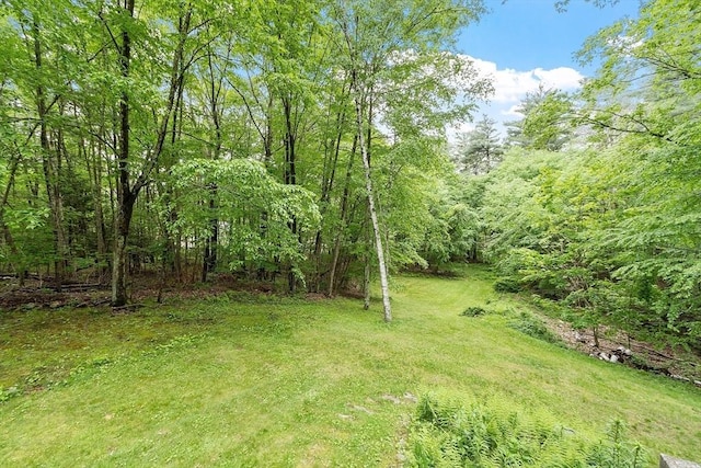 31 Spectacle Hill Rd, Bolton, MA 01740 - view of yard with a wooded view