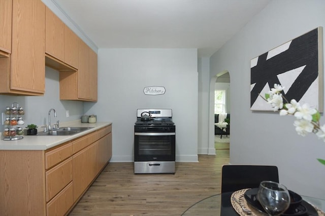 318 Charles St, Fitchburg, MA 01420 - kitchen featuring stainless steel range with gas cooktop, a sink, light countertops, light wood-style flooring, and arched walkways