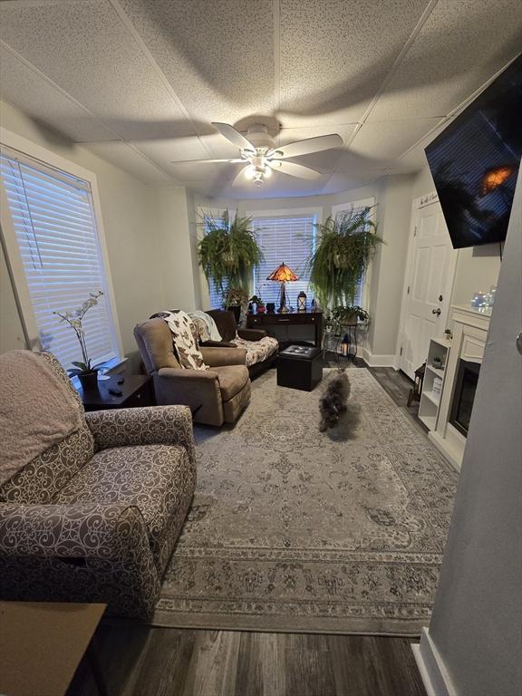 living room with dark hardwood / wood-style floors and ceiling fan