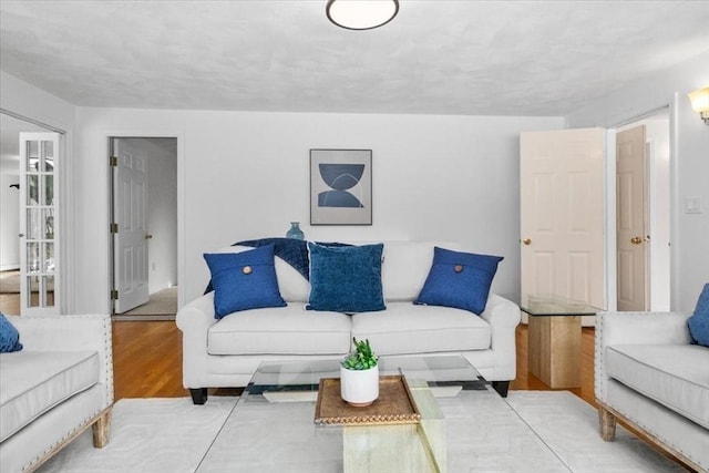 living room featuring light wood-style floors