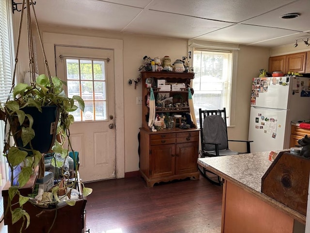 kitchen with freestanding refrigerator, plenty of natural light, and dark wood-type flooring