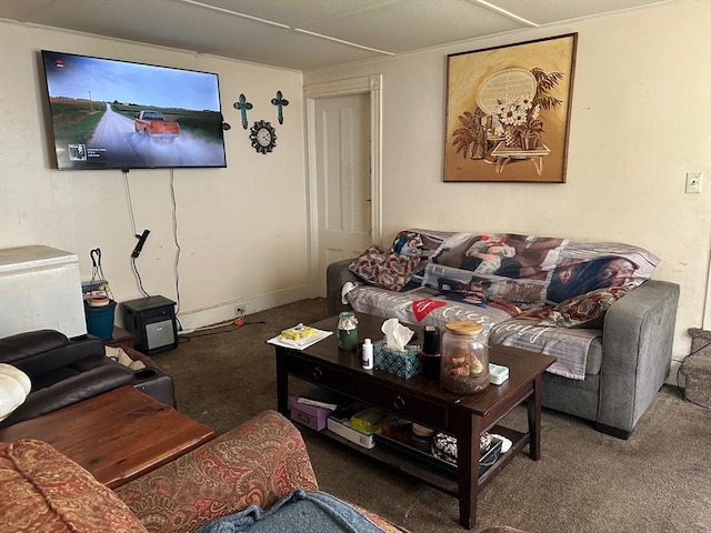 living area featuring carpet flooring
