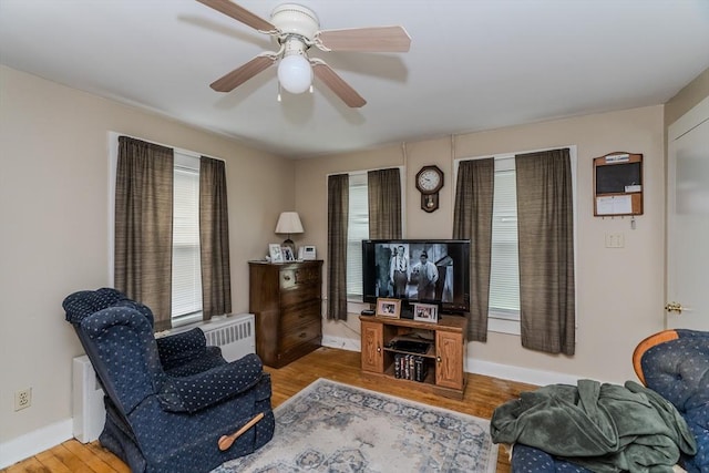 16 Fairfield Ave, Northampton, MA 01062 - living room with light wood-style flooring, a ceiling fan, baseboards, and radiator