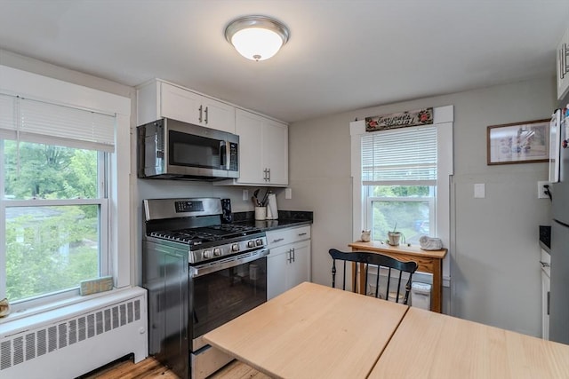 16 Fairfield Ave, Northampton, MA 01062 - kitchen with appliances with stainless steel finishes, radiator, and plenty of natural light