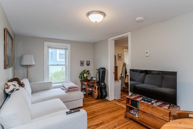 16 Fairfield Ave, Northampton, MA 01062 - living area with light wood-style floors