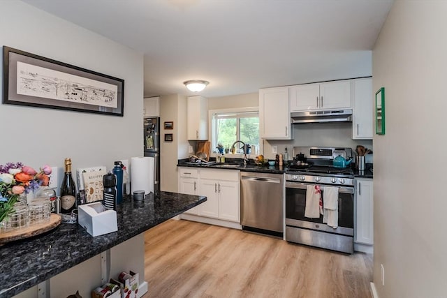 16 Fairfield Ave, Northampton, MA 01062 - kitchen featuring appliances with stainless steel finishes, under cabinet range hood, a sink, white cabinets, and light wood-style floors