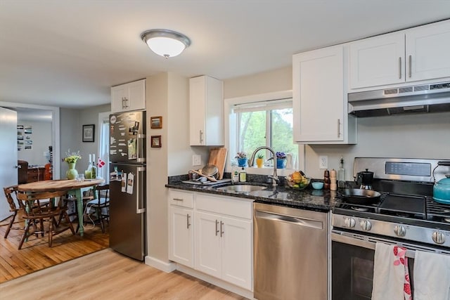 16 Fairfield Ave, Northampton, MA 01062 - kitchen featuring stainless steel appliances, under cabinet range hood, a sink, light wood-style floors, and white cabinetry