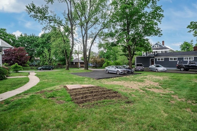 16 Fairfield Ave, Northampton, MA 01062 - view of grassy yard
